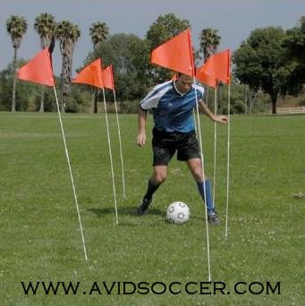 AVID Soccer Review - Agora Training Flags