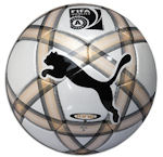 ASER 2009 Best Ball Winner